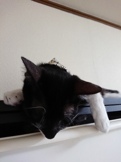 20180725195127549.jpg