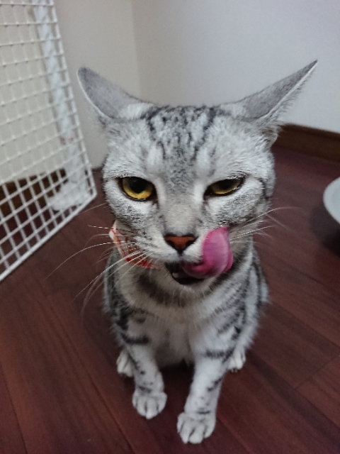 20180725195310421.jpg