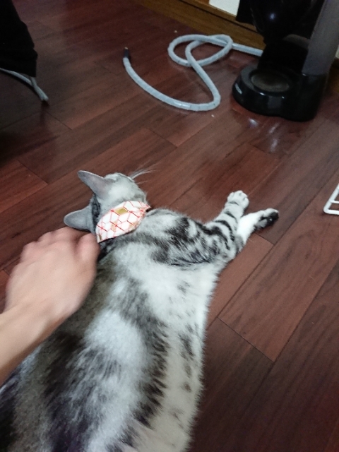 20180725200424632.jpg