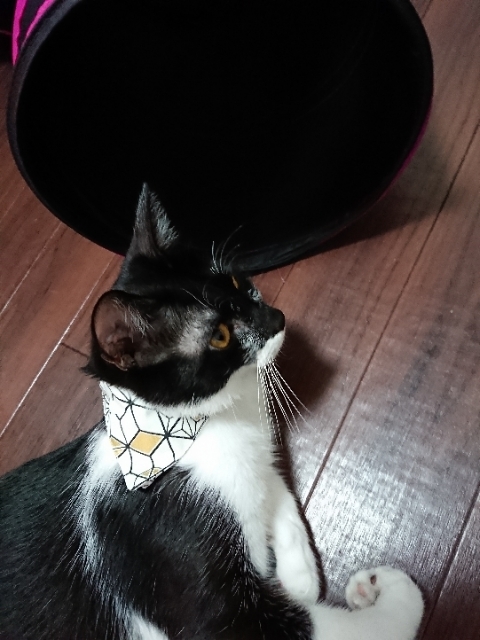 20180725200440852.jpg