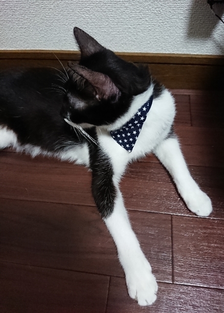 20180726065539468.jpg