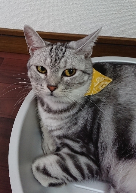 20180727073004623.jpg