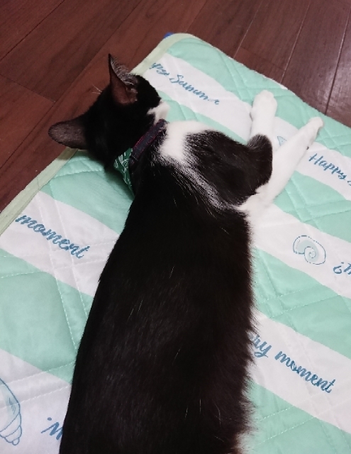 20180727074341934.jpg