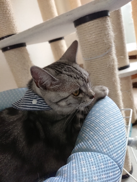 20180729105801256.jpg