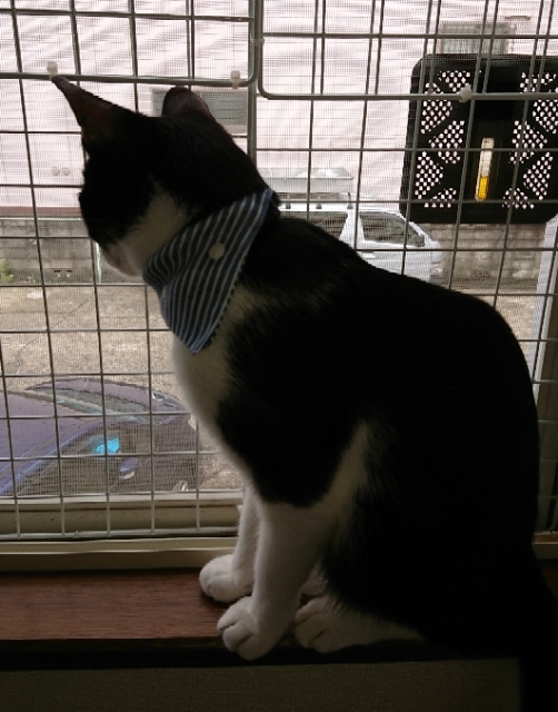 20180729110255674.jpg