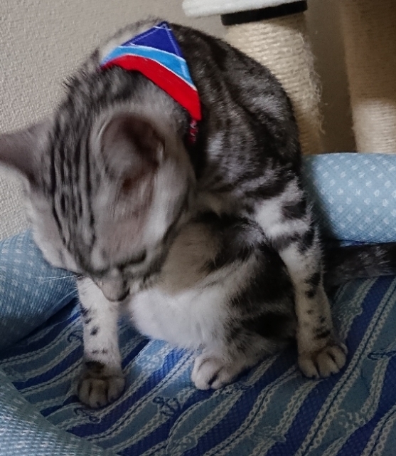 20180731061946594.jpg