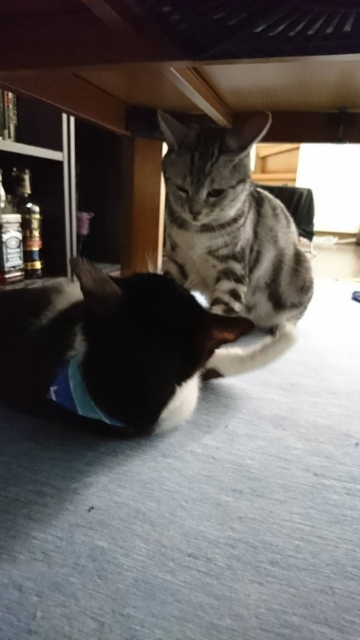 20180731063043374.jpg