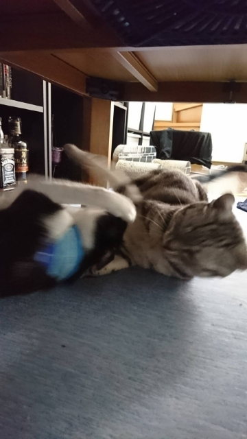 20180731063057533.jpg
