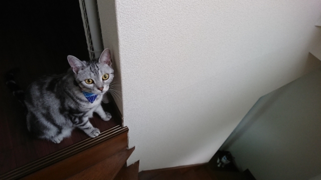 20180731063403056.jpg