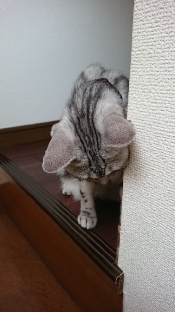20180731063412410.jpg