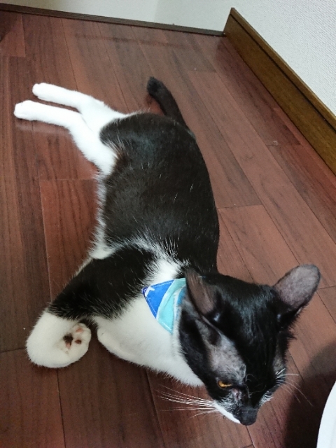 20180731063517929.jpg
