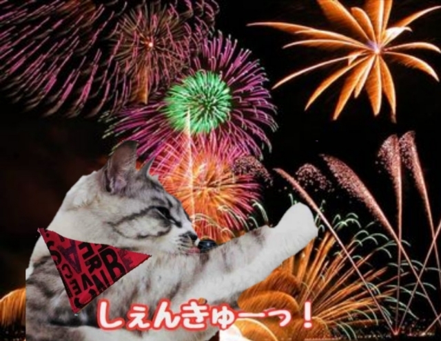 20180804135620216.jpg