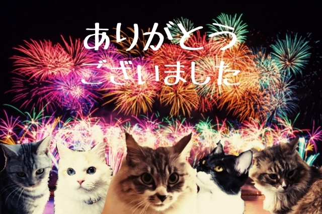 20180810080629178.jpg