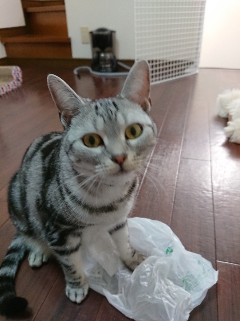 20181108093130667.jpg