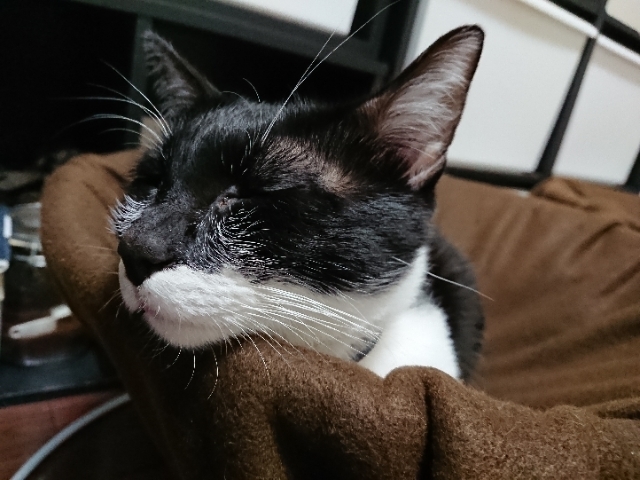 20181116225452148.jpg