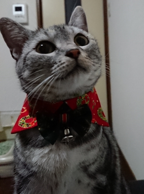 20181120101359821.jpg