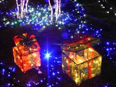 20181208220741414.jpg