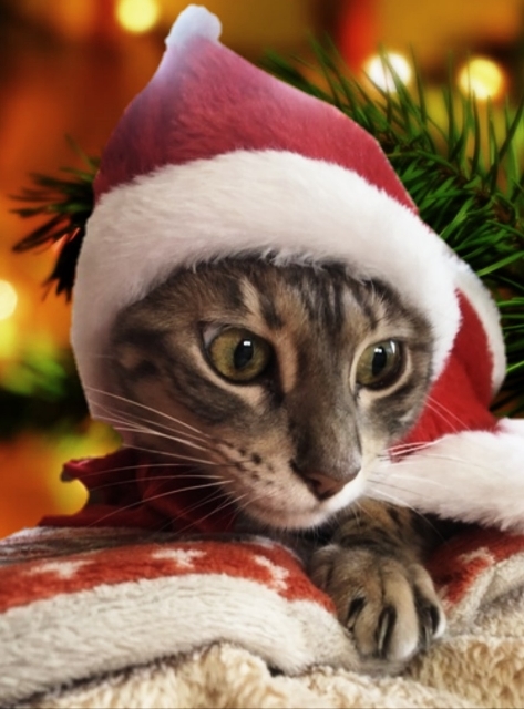 20181220005906595.jpg
