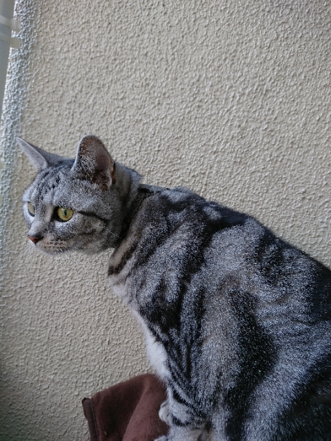 20190107092027920.jpg