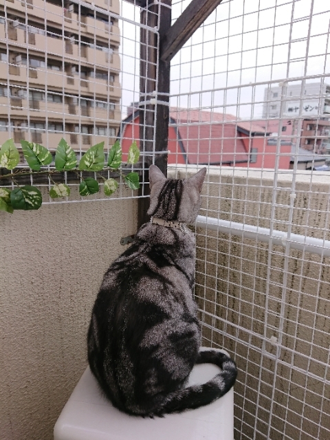 20190217161634880.jpg