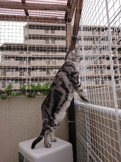 20190217161648077.jpg