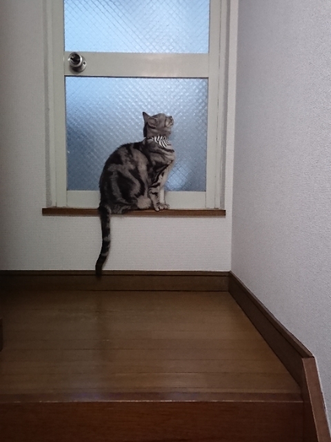 20190219071923843.jpg
