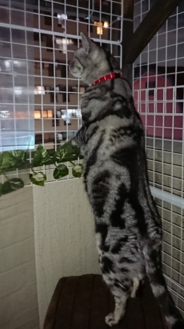 20190220203910892.jpg
