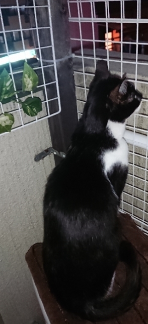 20190220210825141.jpg