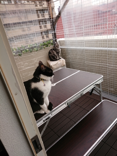 20190222093917426.jpg
