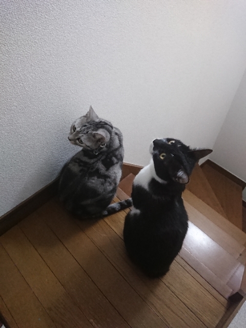 20190227222731286.jpg