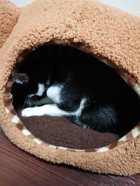 20190227223429550.jpg