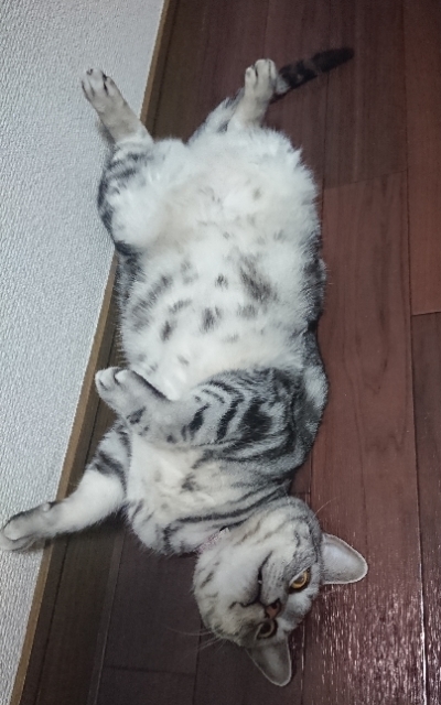 20190301203149625.jpg