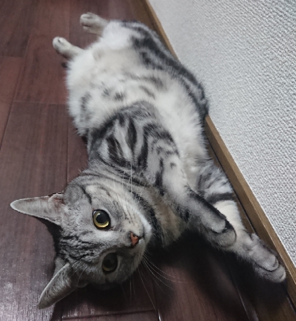 20190301203222744.jpg