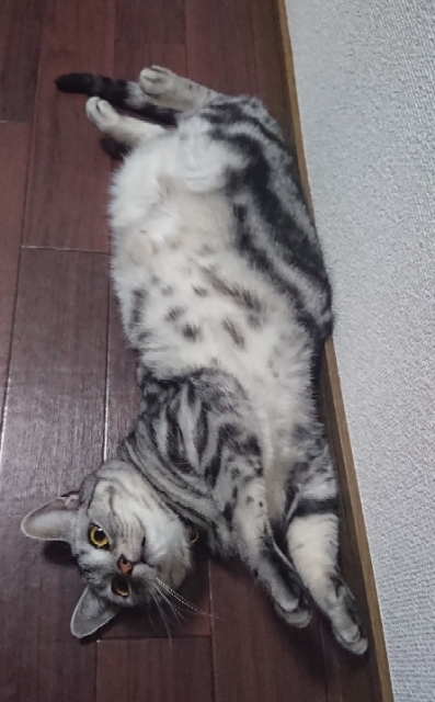20190301203235629.jpg