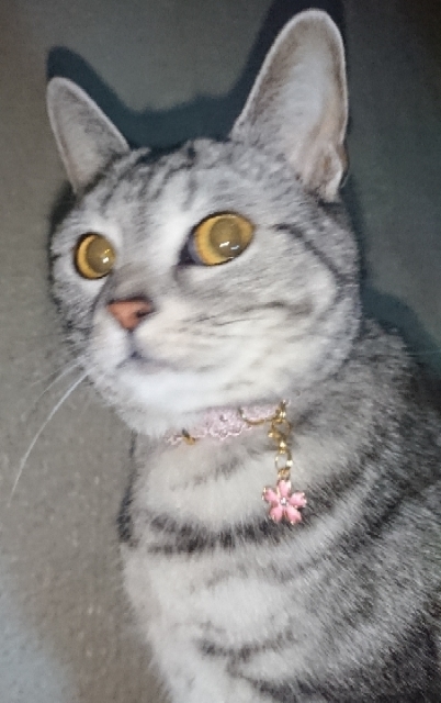 20190301210012709.jpg