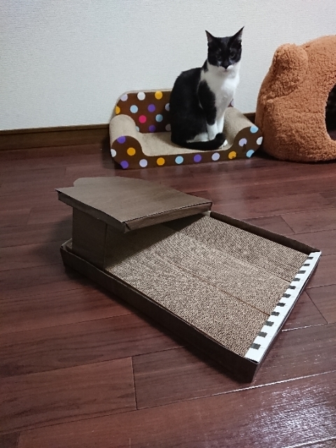20190311222020713.jpg