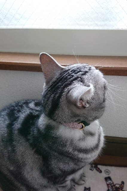 20190319081704447.jpg