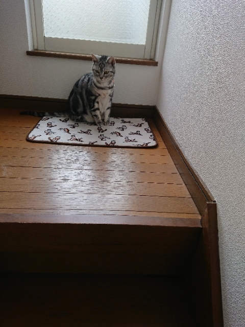 20190319081836607.jpg