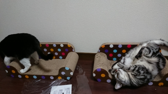 20190320130953740.jpg