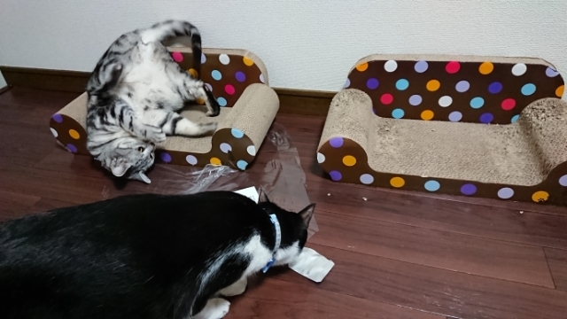 20190320131145845.jpg