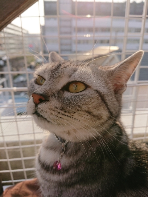 20190327075345729.jpg