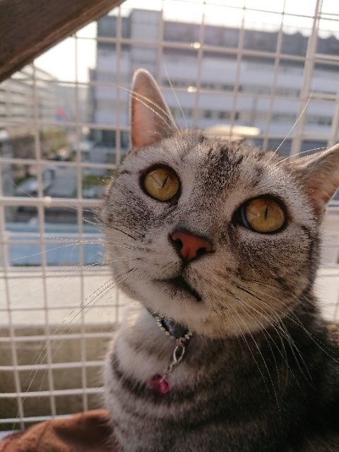 20190327075353877.jpg