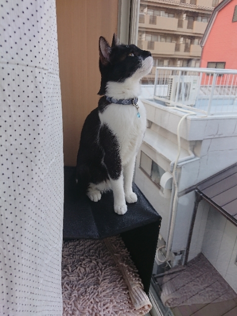 20190330125749167.jpg