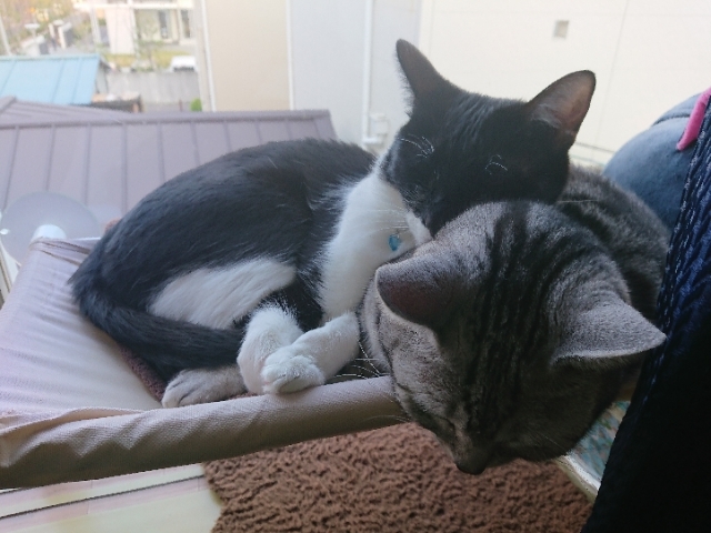 20190330125934613.jpg