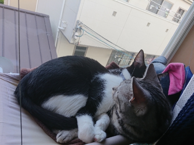 20190330125957150.jpg