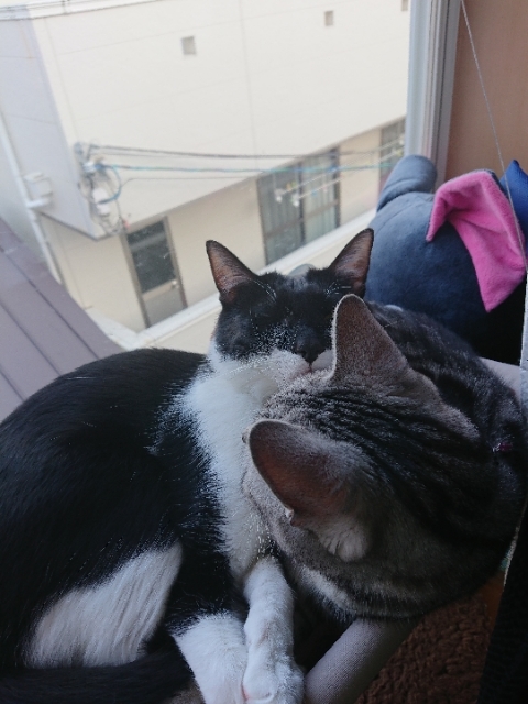 20190330130706323.jpg
