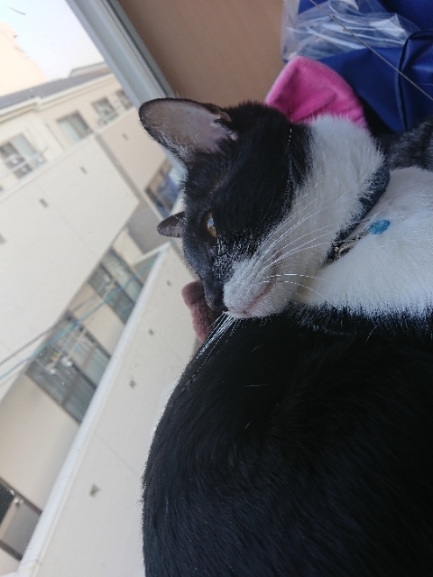 20190330130746436.jpg