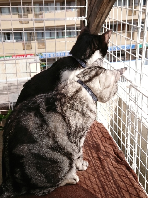 20190330131401818.jpg
