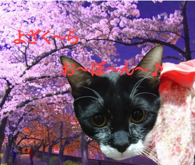 20190406120702263.jpg