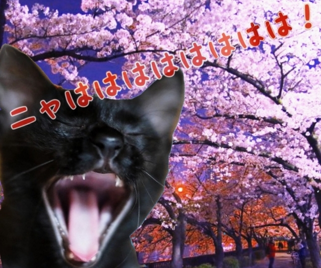 20190406122055342.jpg